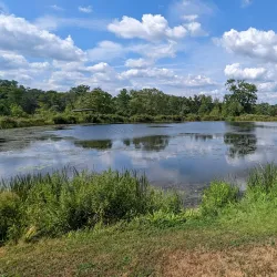 Hudson Highlands Nature Museum - Fishkill Plains Preserve - Fishkill