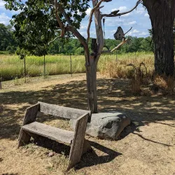 Hudson Highlands Nature Museum - Fishkill Plains Preserve - Fishkill