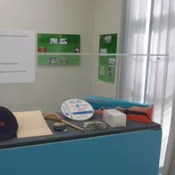 Clifton Springs Sanitarium Museum - Geneva