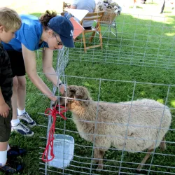 Geneva Historical Society Museum - Geneva