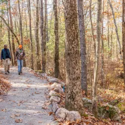 Cedar Swamp Preserve - Glen Cove