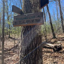 Cedar Swamp Preserve - Glen Cove