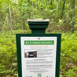 Cedar Swamp Preserve - Glen Cove