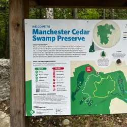 Cedar Swamp Preserve - Glen Cove