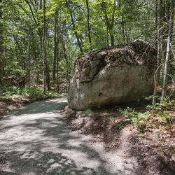 Cedar Swamp Preserve - Glen Cove