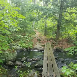 Cedar Swamp Preserve - Glen Cove