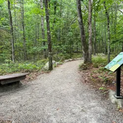 Cedar Swamp Preserve - Glen Cove