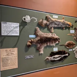 Garvies Point Museum and Preserve - Glen Cove