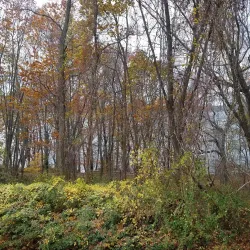 Garvies Point Museum and Preserve - Glen Cove