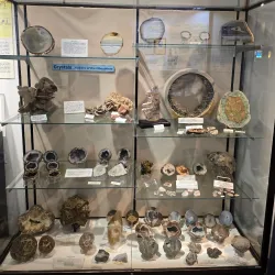 Garvies Point Museum and Preserve - Glen Cove