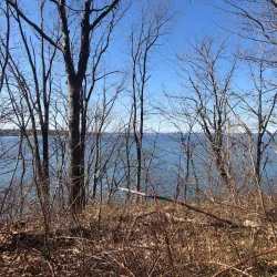 Garvies Point Museum and Preserve - Glen Cove