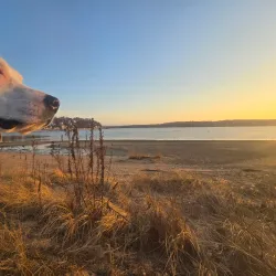 Hempstead Harbor Marina - Glen Cove