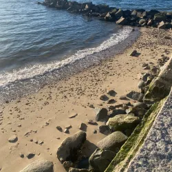 Morgan Memorial Park - Glen Cove