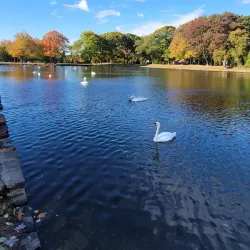 Hempstead Lake State Park - Hempstead