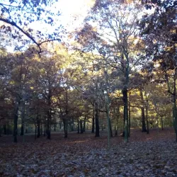 Hempstead Lake State Park - Hempstead