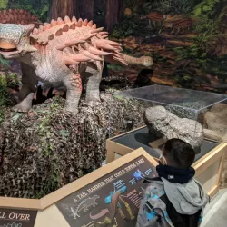 Tanglewood Preserve - Hempstead