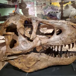 Tanglewood Preserve - Hempstead