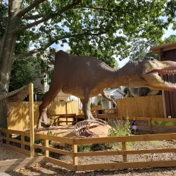 Tanglewood Preserve - Hempstead