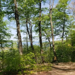 Cold Spring Harbor State Park - Huntington