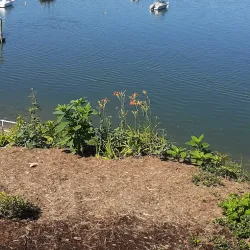 Huntington Village - Huntington