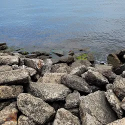 Bay Shore Marina - Islip