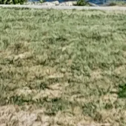 Bay Shore Marina - Islip