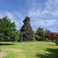 Bayard Cutting Arboretum - Islip