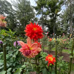 Bayard Cutting Arboretum - Islip