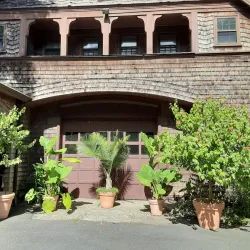 Bayard Cutting Arboretum - Islip