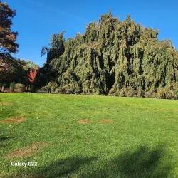 Bayard Cutting Arboretum - Islip