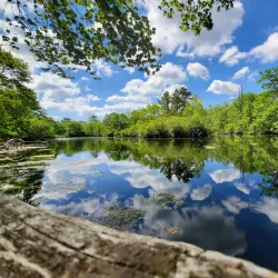Connetquot River State Park Preserve - Islip