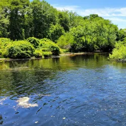 Connetquot River State Park Preserve - Islip