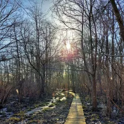 Heckscher State Park - Islip