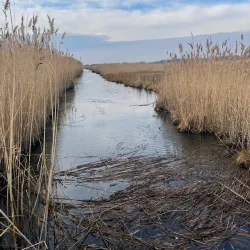 Heckscher State Park - Islip
