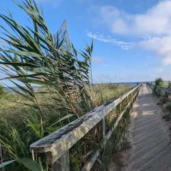 Islip Marina - Islip