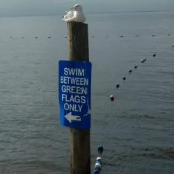 Islip Town Beach - Islip