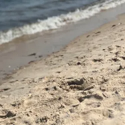 Islip Town Beach - Islip