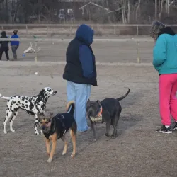 Robinson Duck Farm - Islip
