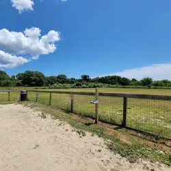 Robinson Duck Farm - Islip