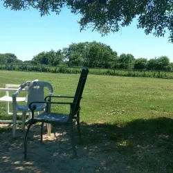 Robinson Duck Farm - Islip