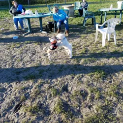 Robinson Duck Farm - Islip