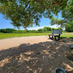 Robinson Duck Farm - Islip