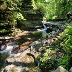 Buttermilk Falls State Park - Ithaca