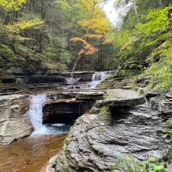 Buttermilk Falls State Park - Ithaca