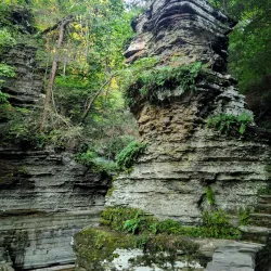 Buttermilk Falls State Park - Ithaca