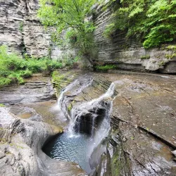 Buttermilk Falls State Park - Ithaca
