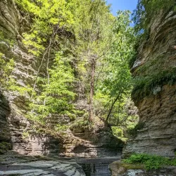 Buttermilk Falls State Park - Ithaca