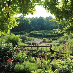 Cornell Botanic Gardens - Ithaca