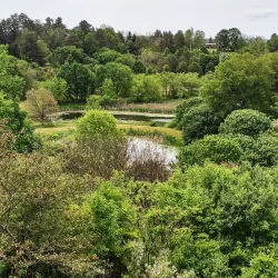 Cornell Botanic Gardens - Ithaca