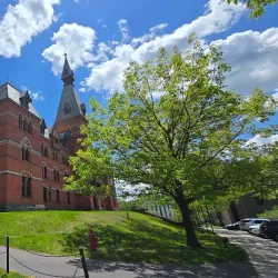 Cornell University - Ithaca